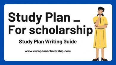 Study Plan for Scholarship