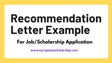 Examples of Recommendation Letter for Job.Scholarship