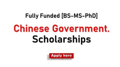 Chinese Govt. Scholarships