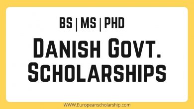 Danish Government Scholarship 2022