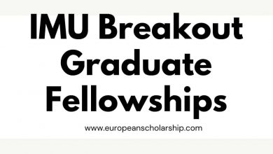IMU Breakout Graduate Fellowships 2022