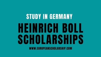 Heinrich Boll Scholarships