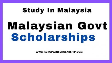 The Malaysian Government scholarships