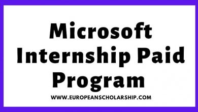 Microsoft Internship Program