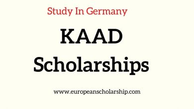 KAAD Scholarships