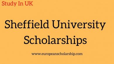 Sheffield University Scholarships