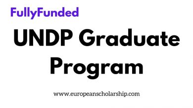 undp graduate program