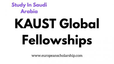 KAUST Global Fellowship