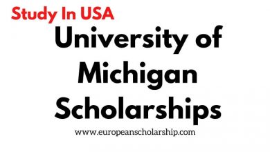 University of Michigan Scholarships 2023