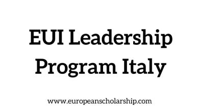 EUI Leadership Program
