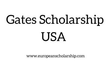 Gates Scholarship USA
