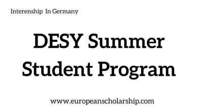 DESY Summer Student Program