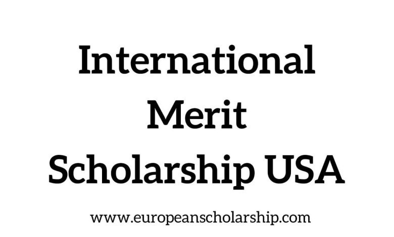 International Merit Scholarship