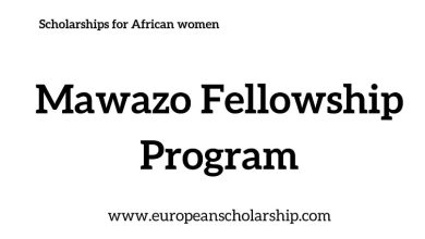 Mawazo Fellowship Program