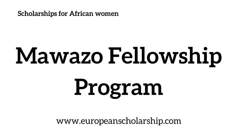 Mawazo Fellowship Program