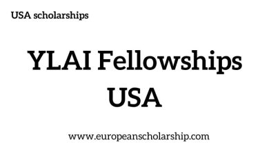 YLAI Fellowships USA