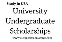 University Undergraduate Scholarships