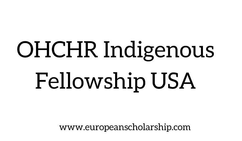 OHCHR Indigenous Fellowship